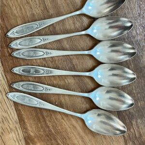 Elegant Silver Spoons Set